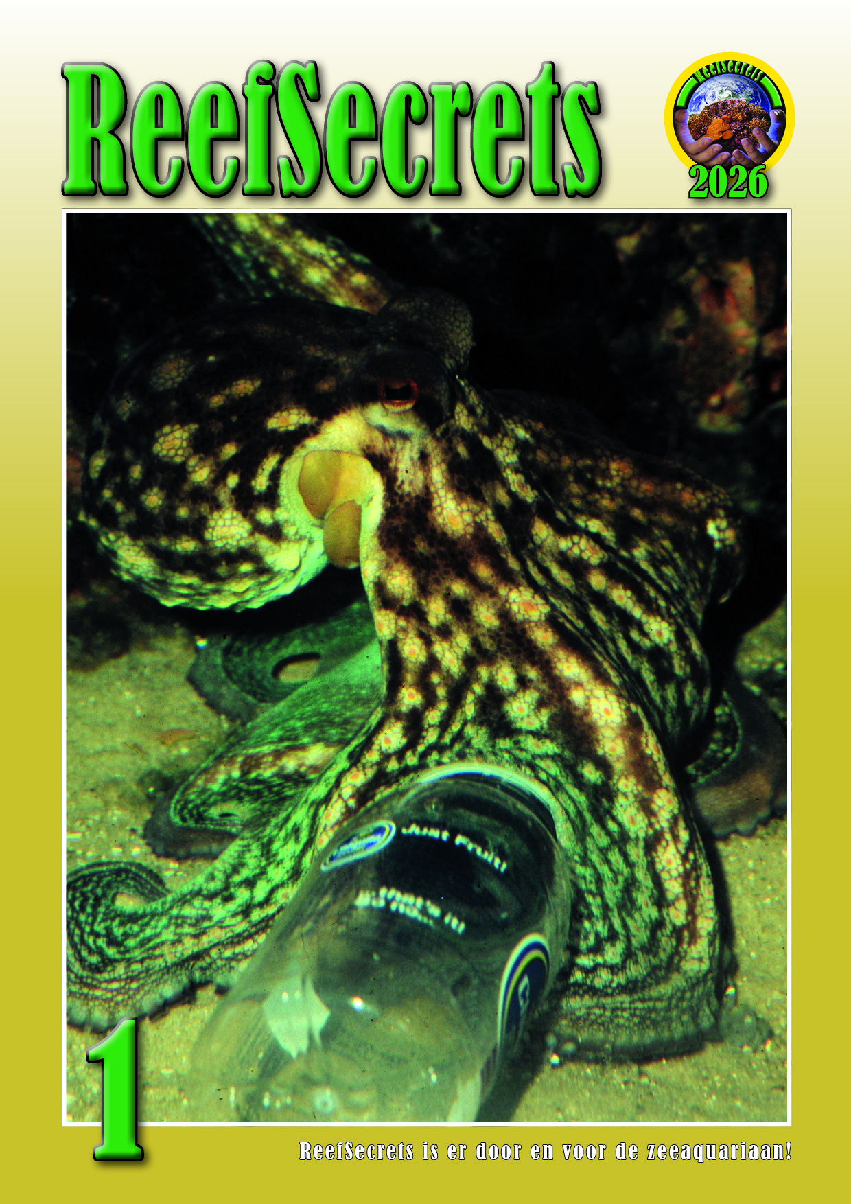 Magazine januari 2025